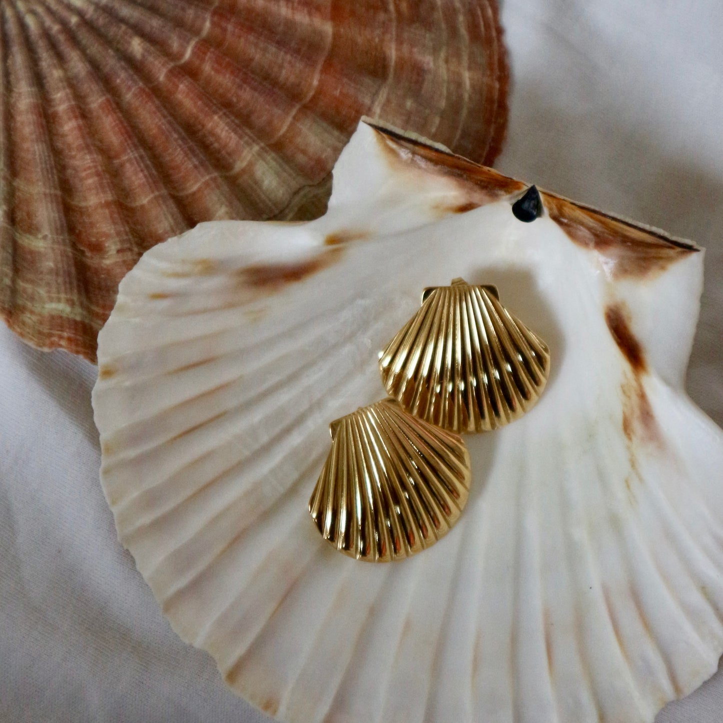 Shell earrings