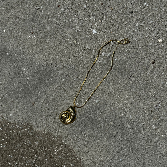 Shell necklace